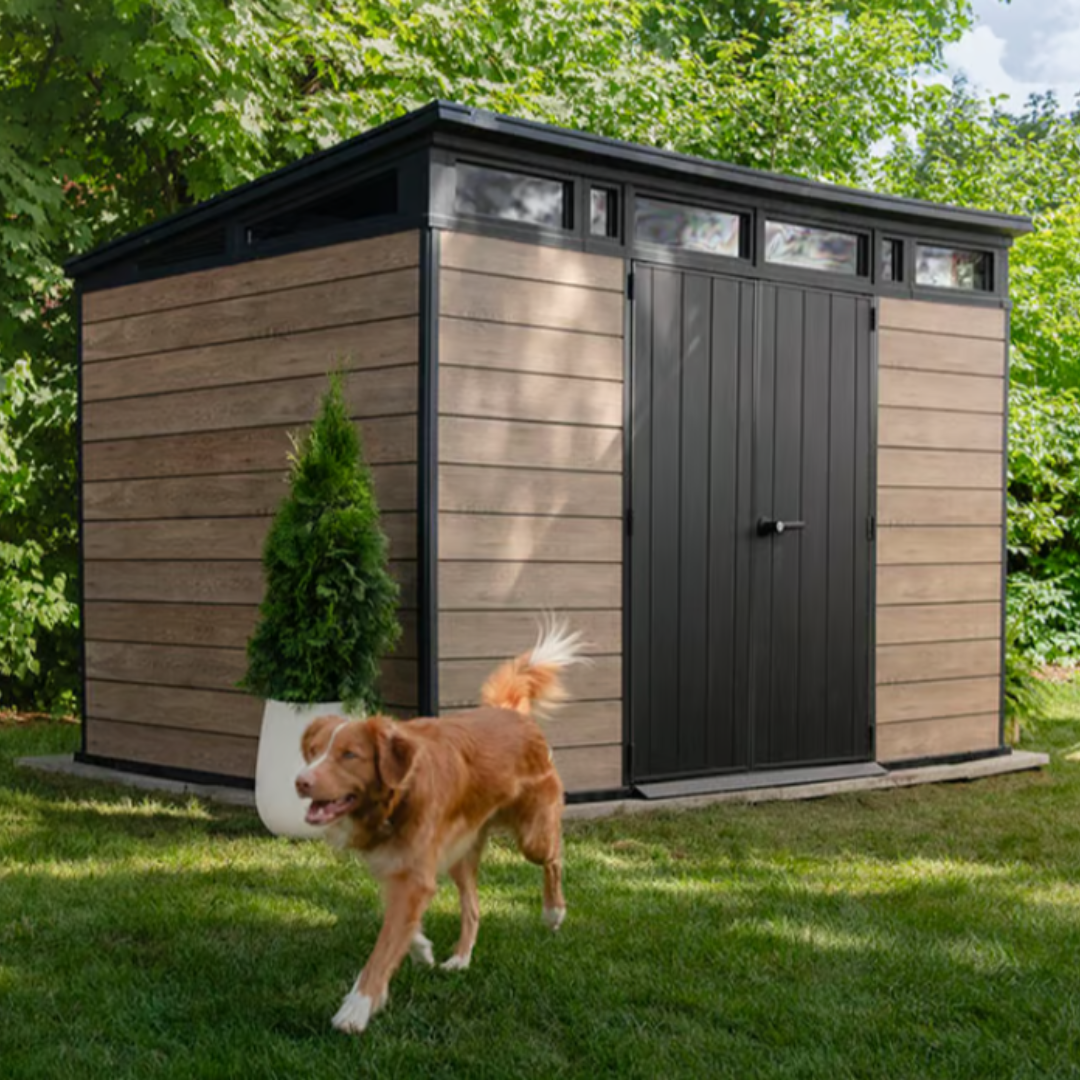 Domek ogrodowy Signature Collection 11x7 ft – 3,4 m x 2,1 m – Ashwood – zewnętrzny schowek ogrodowy